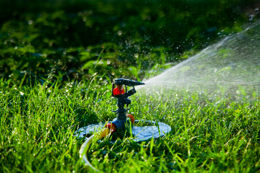 Image for FCO Landscape & Maintenance with ID of: 2903994