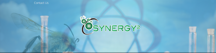 Image for Synergy² with ID of: 2904774