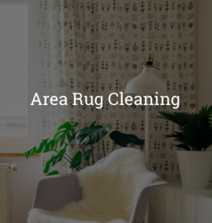 Image for Carpet Gurus - Spokane Carpet Cleaning with ID of: 2905008