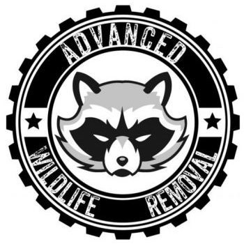 Image for Advanced Wildlife Removal with ID of: 2907699