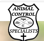 Image for Animal Control Specialists, LLC with ID of: 2907740