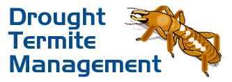 Image for Drought Termite Management with ID of: 2908056