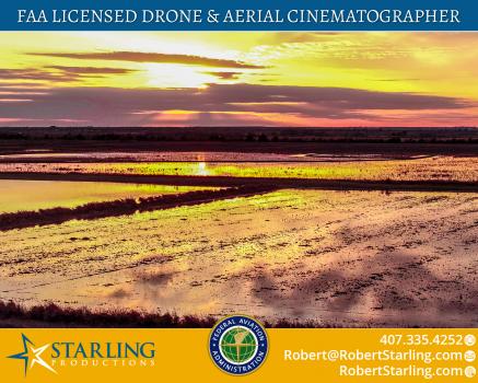 Image for Starling Productions Inc with ID of: 2910097