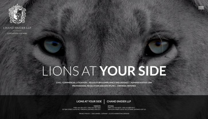 Image for Chand Snider LLP with ID of: 2910961