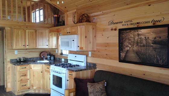 Image for TinyLux Homes with ID of: 2913419