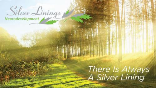 Image for Silver Linings Neurodevelopment with ID of: 2913956