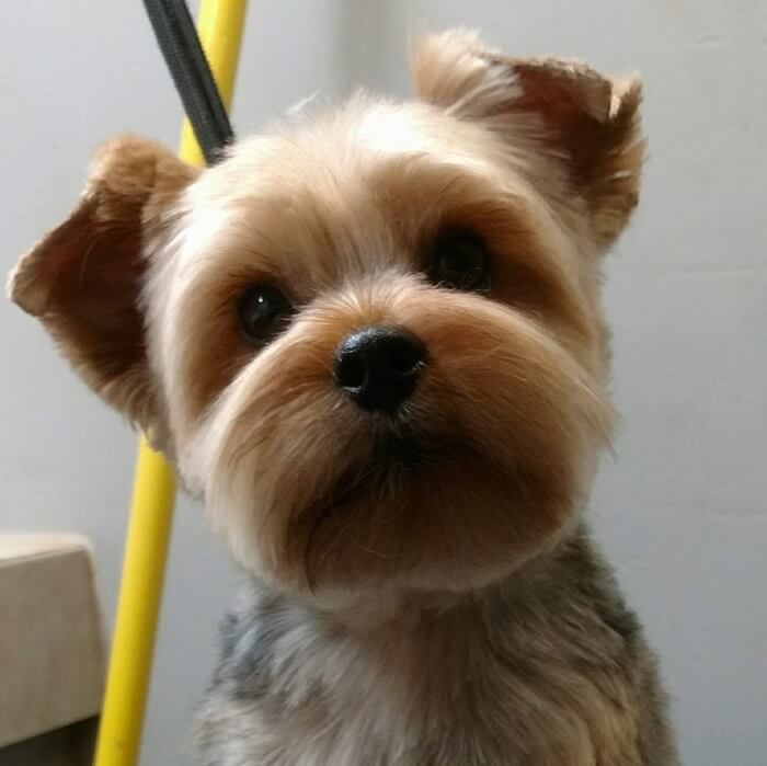 Image for French Connection with ID of: 2916966