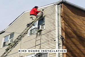 Image for Chimney Sweep by Atlantic Cleaning with ID of: 2917107