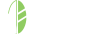Image for Aloha Mind Math with ID of: 2917677