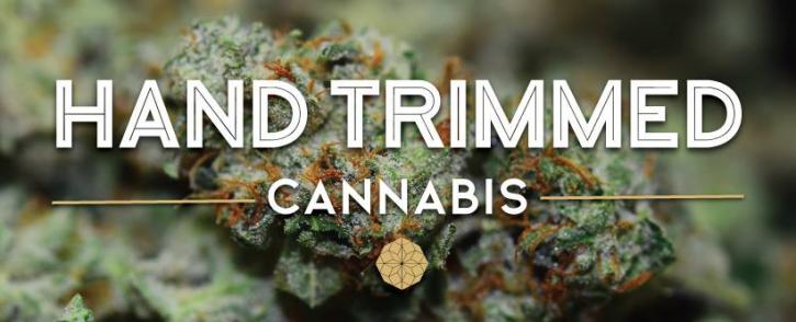 Image for Lucy Sky Cannabis Boutique with ID of: 2918966