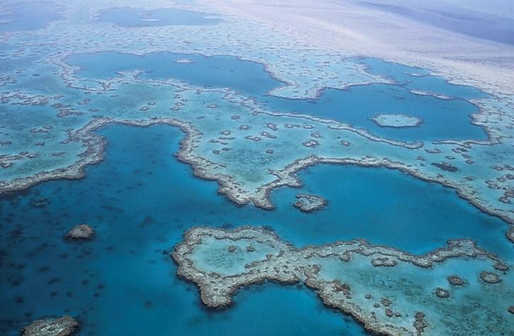 Image for Facts You Didn’t Know About The Great Barrier Reef! with ID of: 2920357