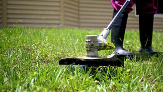 Image for Landscaping orange county with ID of: 2924862