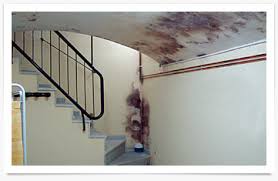 Image for Various causes of dampness in building with ID of: 2925203