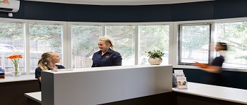 Image for Your New Dentist with ID of: 2926163