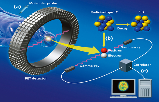 Image for Molecular Imaging Market to Surpass US$ 7.3 billion by 2026 with ID of: 2926920
