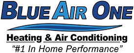 Image for Blue Air One Inc with ID of: 2927084