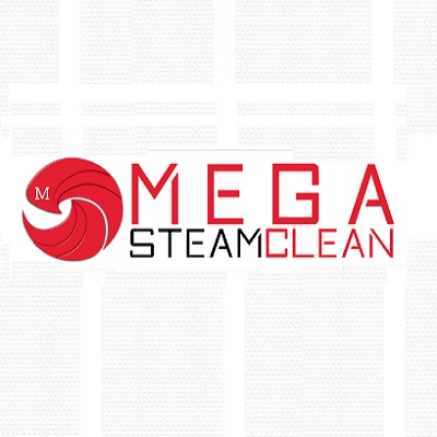 Image for Mega Steam Clean with ID of: 2927996