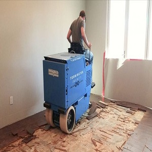 Image for Specialty Equipment Rentals with ID of: 2929571
