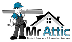 Image for Mr Attic with ID of: 2930693