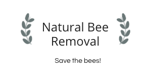 Image for Natural Bee Removal with ID of: 2932226