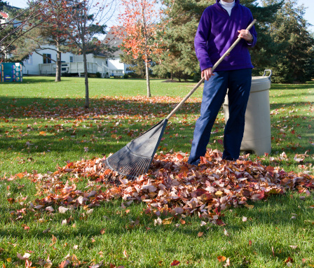 Image for GRO Landscaping with ID of: 2932740