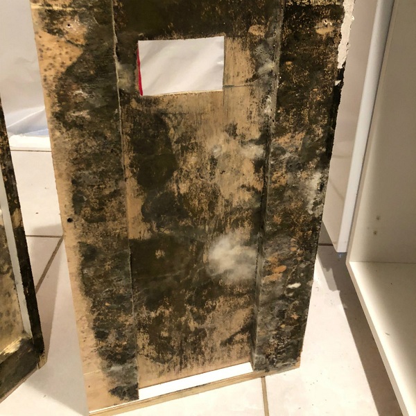 Image for Treasure Coast Mold Pros with ID of: 2933475