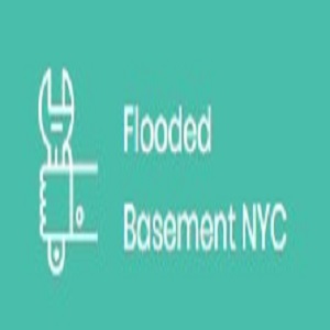 Image for Flooded Basement NYC with ID of: 2933614