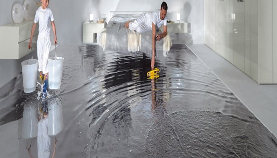 Image for Flooded Basement NYC with ID of: 2933627