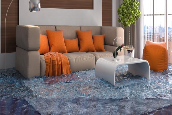 Image for Water Damage Removal NYC with ID of: 2933674