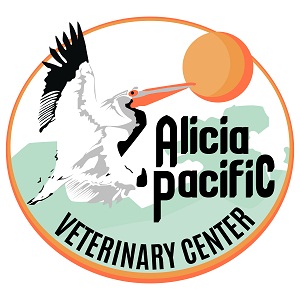 Alicia Pacific Veterinary Center Laguna Niguel ...