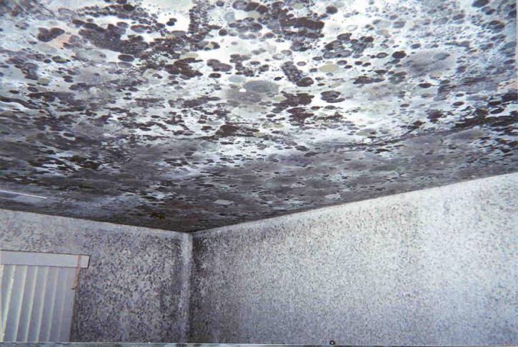 Image for Fire Damage Cleanup Philadelphia with ID of: 2934141