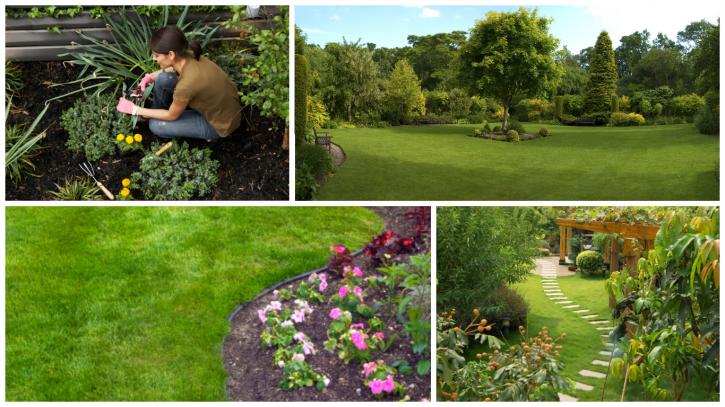 Image for CD's Lawn Maintenance with ID of: 2934515