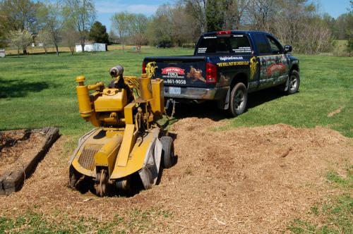 Image for High Point Tree & Fence with ID of: 2934666