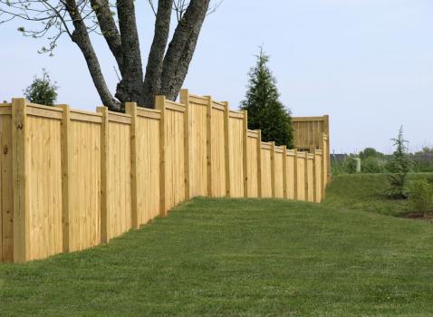 Image for High Point Tree & Fence with ID of: 2934667