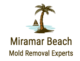 Image for Miramar Beach Mold Removal Experts with ID of: 2934670
