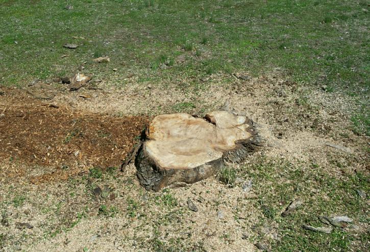 Image for Yard Pro - Oak Ridge with ID of: 2935126