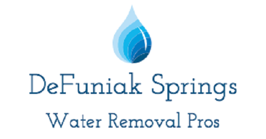 Image for DeFuniak Springs Water Removal Pros with ID of: 2935167