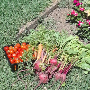 Image for Dorothy Ahrens Nursery School with ID of: 2937296