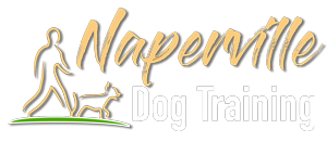 Image for The Dog Network with ID of: 2939452
