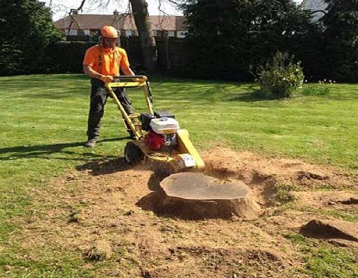Image for Moore & Smith Tree Service with ID of: 2939482