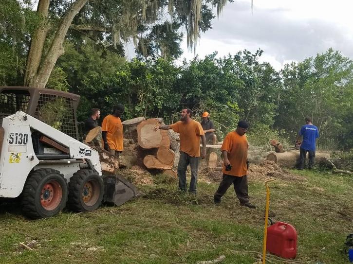 Image for Moore & Smith Tree Service with ID of: 2939483