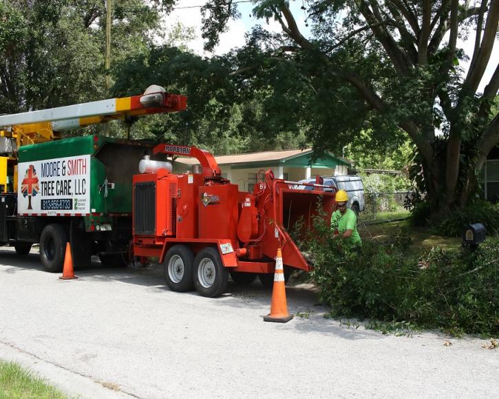 Image for Moore & Smith Tree Service with ID of: 2939484