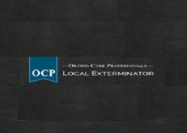 Image for OCP Bed Bug Exterminator Austin TX - Bed Bug Removal with ID of: 2940447