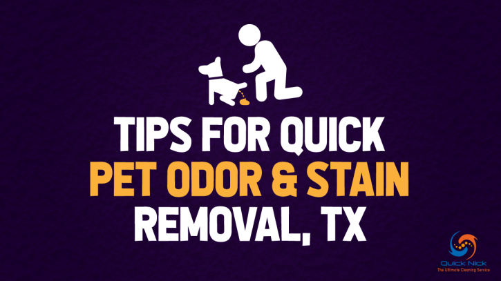 Image for Tips for Quick Pet Odor & Stain Removal, TX with ID of: 2940946