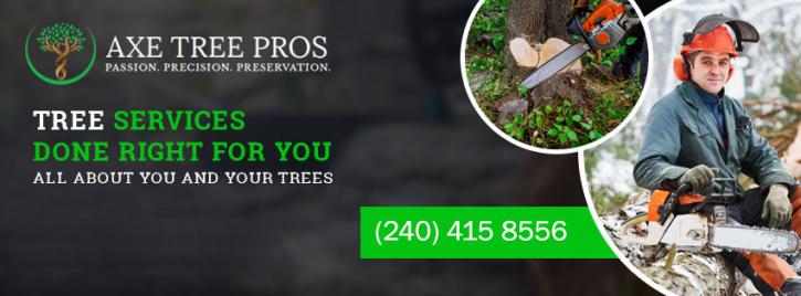 Image for Axe Tree Pros | Affordable Tree Removal and Trimming Services in MD with ID of: 2940989