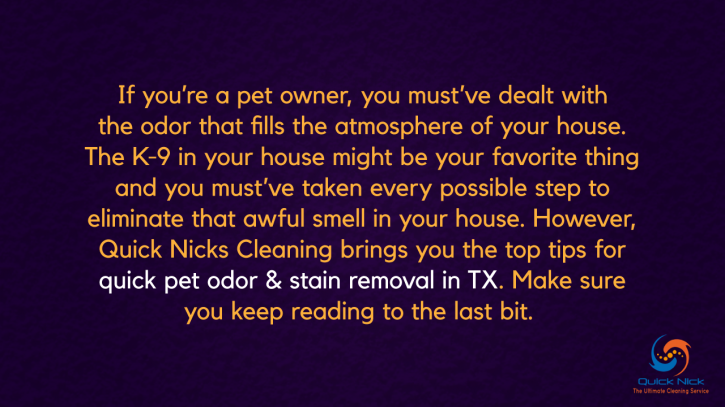 Image for Tips for Quick Pet Odor & Stain Removal, TX with ID of: 2941053