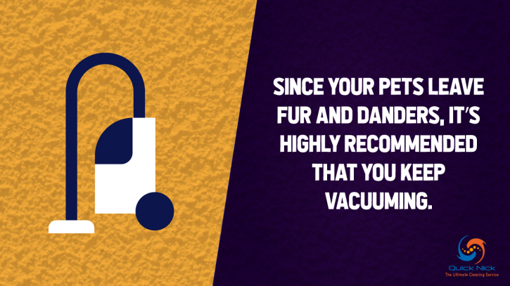 Image for Tips for Quick Pet Odor & Stain Removal, TX with ID of: 2941059