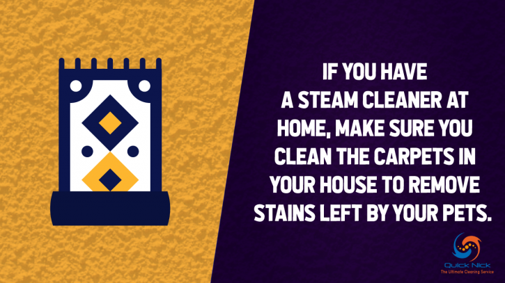 Image for Tips for Quick Pet Odor & Stain Removal, TX with ID of: 2941066