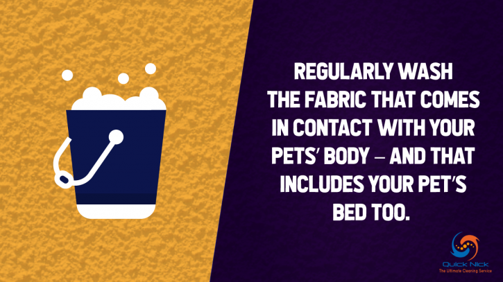Image for Tips for Quick Pet Odor & Stain Removal, TX with ID of: 2941070