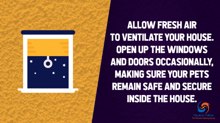 Image for Tips for Quick Pet Odor & Stain Removal, TX with ID of: 2941080